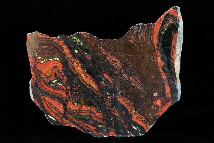 Polished Tiger Iron Stromatolite - ( Billion Years) #75818